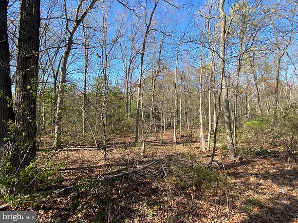 2.5 Acres of Residential Land for Sale in Franklinville, New Jersey