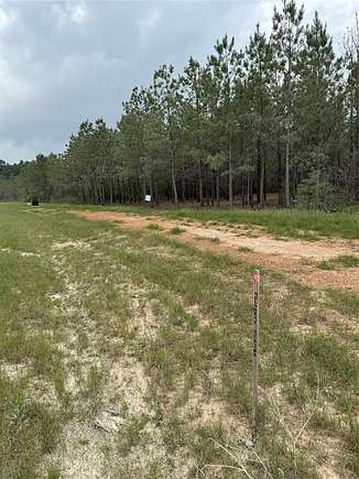 Land for Sale in Willis, Texas