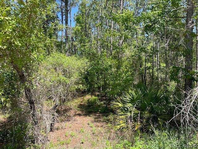 5.09 Acres of Land for Sale in Dunnellon, Florida