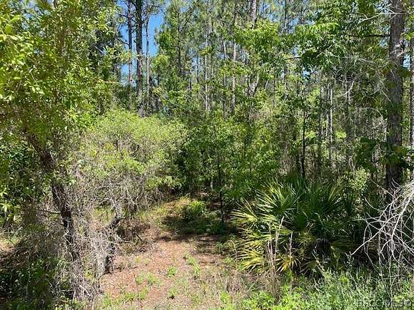 5.09 Acres of Land for Sale in Dunnellon, Florida