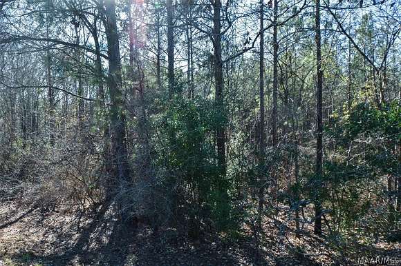 17.9 Acres of Land for Sale in Prattville, Alabama