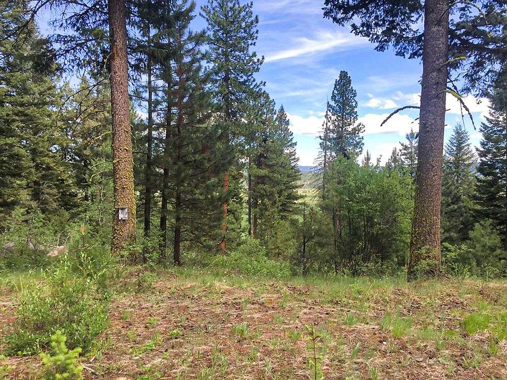 3.3 Acres of Land for Sale in Cascade, Idaho