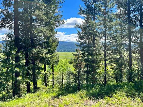 3.33 Acres of Land for Sale in Cascade, Idaho