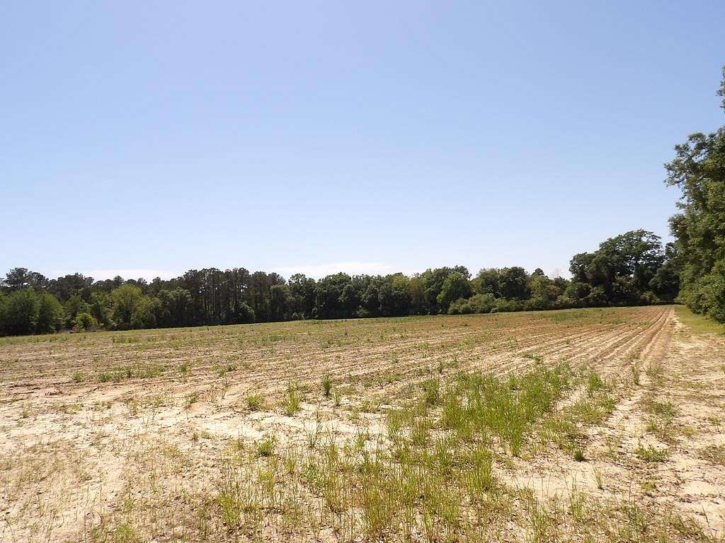 20.2 Acres of Land for Sale in Pelham, Georgia