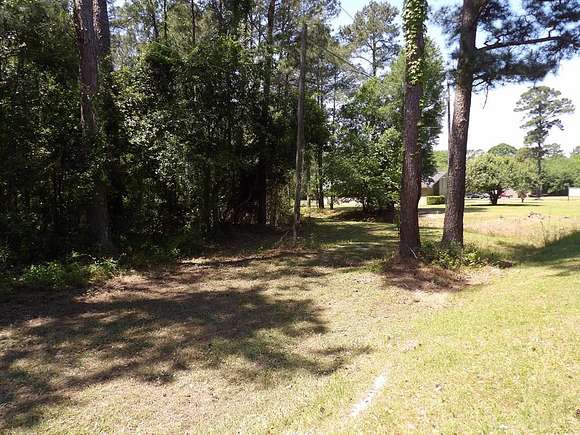 10 Acres of Residential Land for Sale in Camilla, Georgia