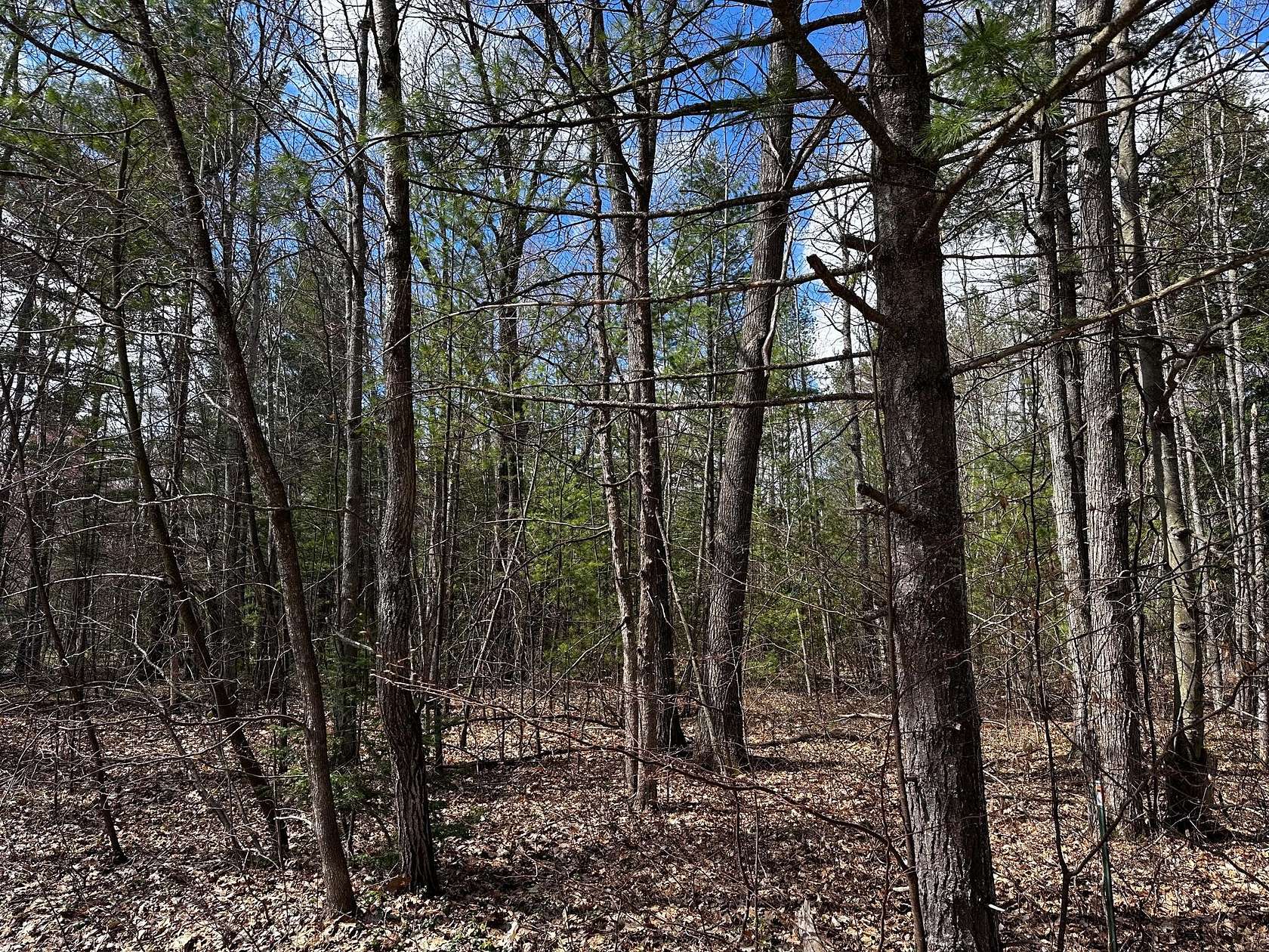 1.8 Acres of Residential Land for Sale in Gaylord, Michigan
