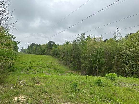 40 Acres of Recreational Land & Farm for Sale in Nashville, Arkansas
