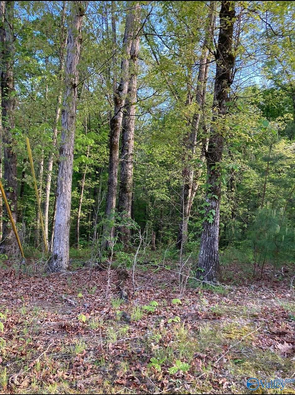 Residential Land for Sale in Southside, Alabama