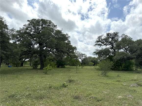 36.7 Acres of Agricultural Land for Sale in Sinton, Texas