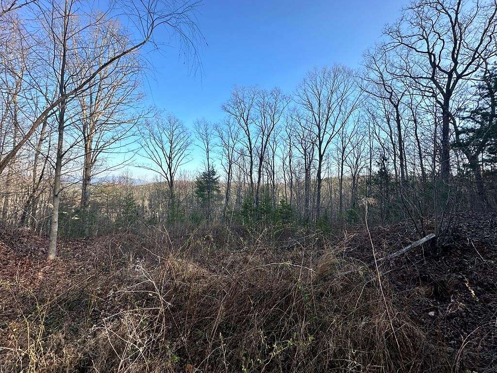 1.4 Acres of Residential Land for Sale in Blue Ridge, Georgia