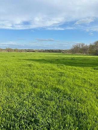 73.7 Acres of Land for Sale in Barry, Texas