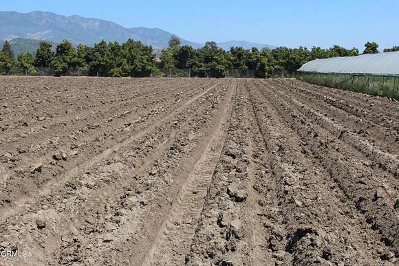 18.5 Acres of Agricultural Land for Sale in Santa Paula, California