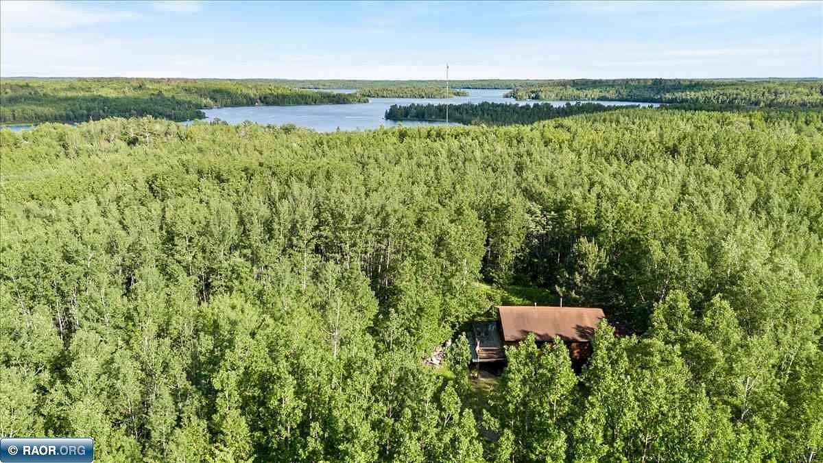 40 Acres of Recreational Land with Home for Sale in Buyck, Minnesota