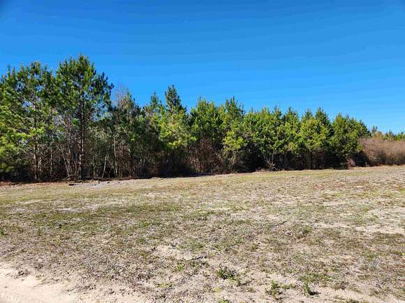 7.9 Acres of Agricultural Land for Sale in Loris, South Carolina