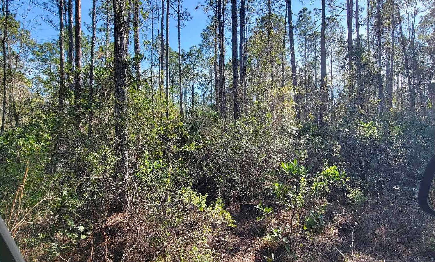 1.3 Acres of Residential Land for Sale in Palatka, Florida