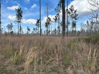 182 Acres of Recreational Land for Sale in Lorman, Mississippi