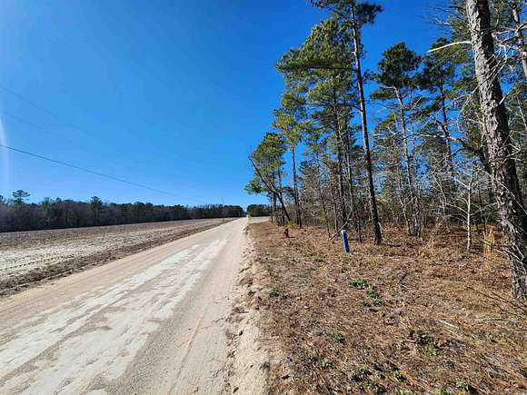 5 Acres of Agricultural Land for Sale in Loris, South Carolina