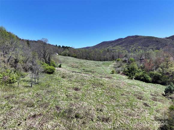 43.85 Acres of Agricultural Land for Sale in Candler, North Carolina