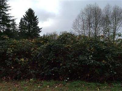 0.72 Acres of Residential Land for Sale in Fall City, Washington
