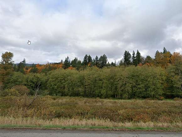 3 Acres of Land for Sale in Lyman, Washington