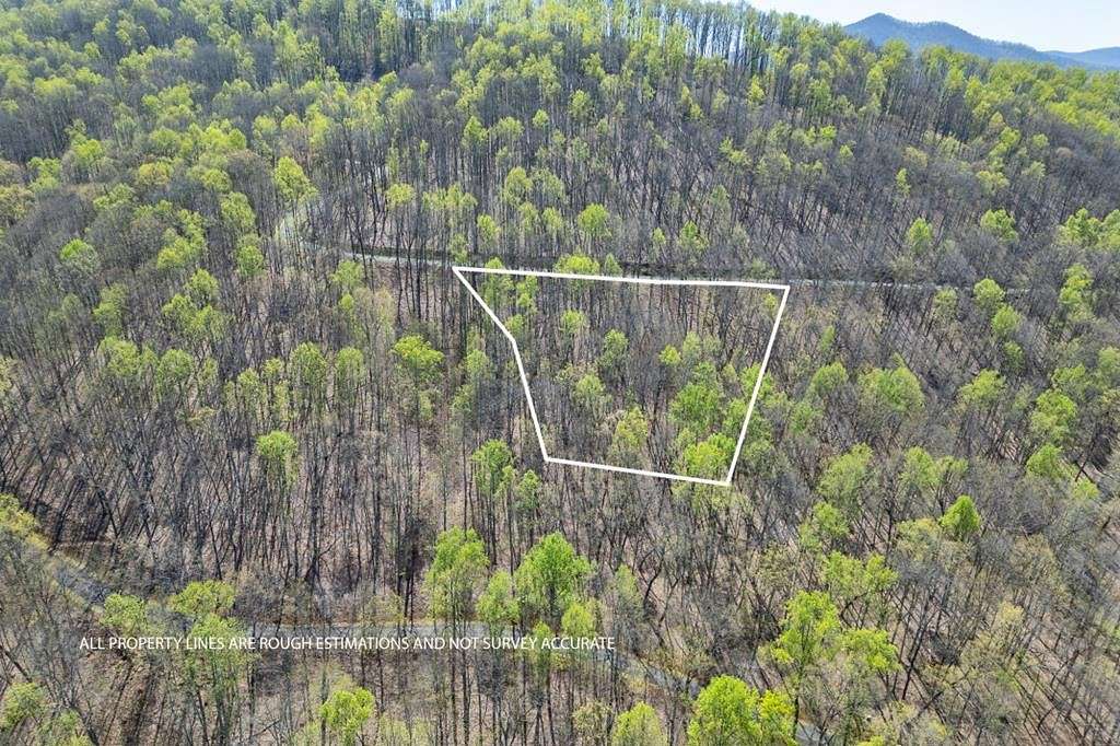 1.1 Acres of Residential Land for Sale in Young Harris, Georgia