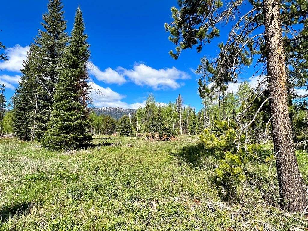 0.62 Acres of Land for Sale in Donnelly, Idaho