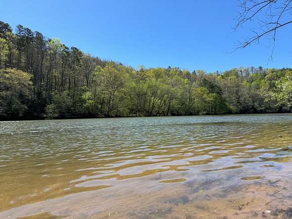 69 Acres of Recreational Land for Sale in Lula, Georgia