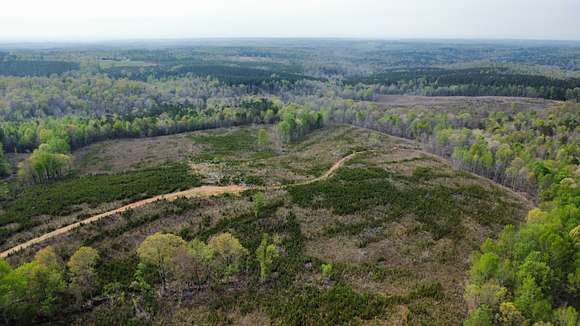 107 Acres of Improved Land for Sale in Woodland, Alabama