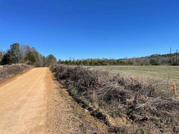 39 Acres of Recreational Land & Farm for Sale in Millport, Alabama