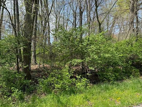 0.35 Acres of Residential Land for Sale in Perry Township, Ohio