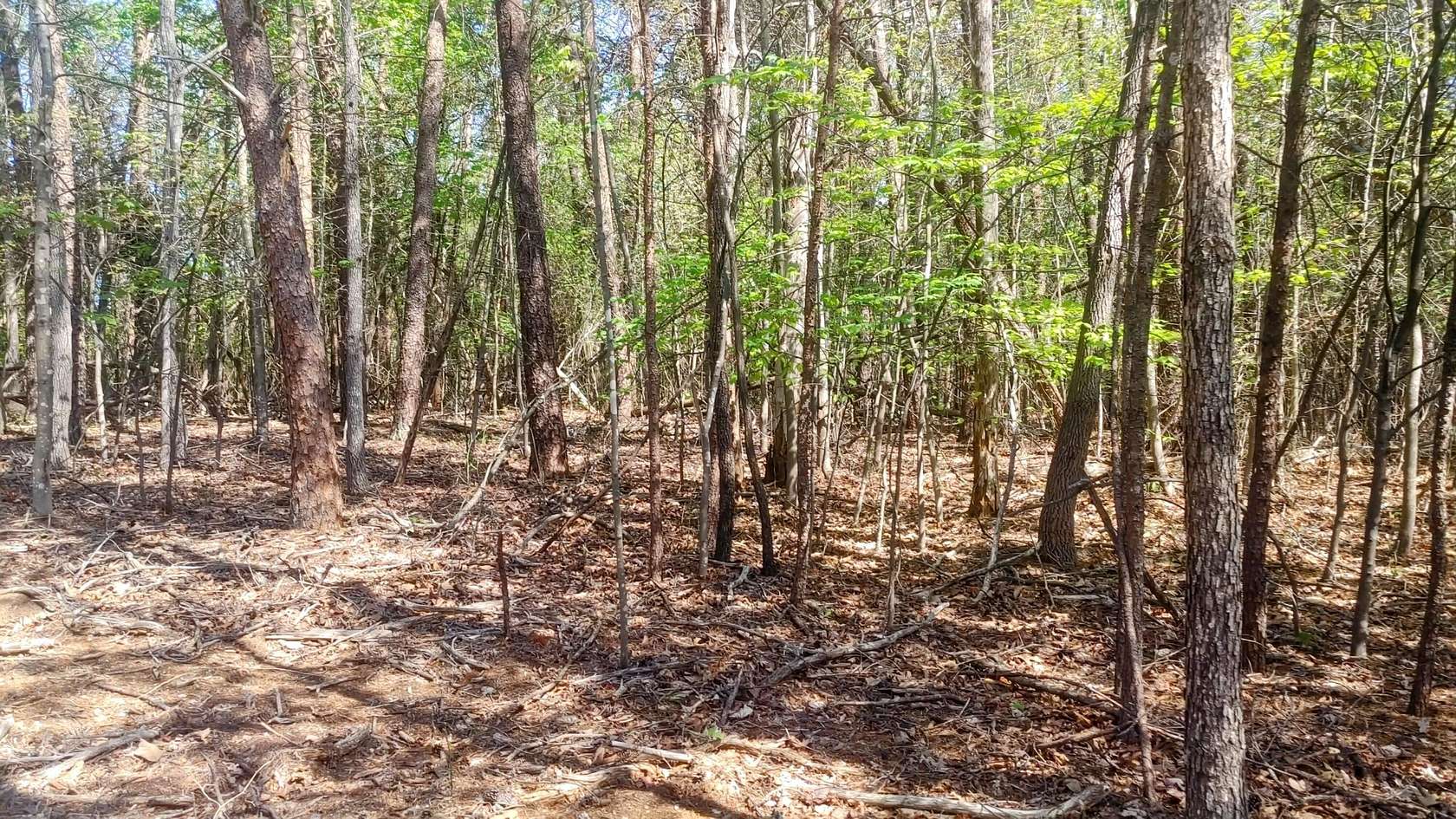 0.55 Acres of Land for Sale in Moneta, Virginia