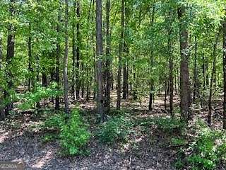1 Acre of Residential Land for Sale in Milledgeville, Georgia