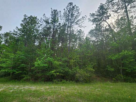 0.37 Acres of Residential Land for Sale in Brookeland, Texas