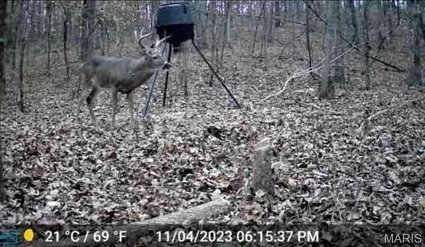 0.35 Acres of Land for Sale in Van Buren, Missouri