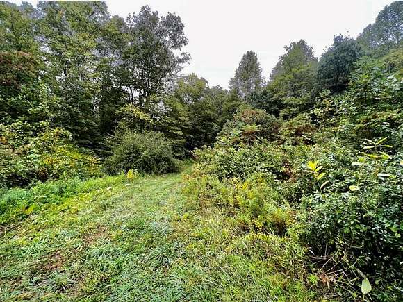 96 Acres of Recreational Land for Sale in Egeria, West Virginia