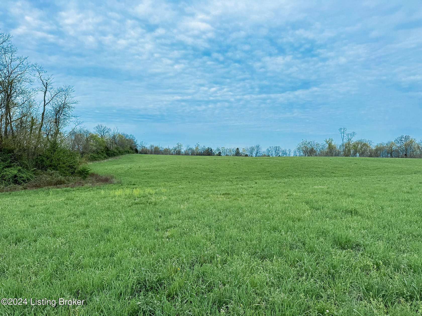 21.67 Acres of Agricultural Land for Sale in Shelbyville, Kentucky