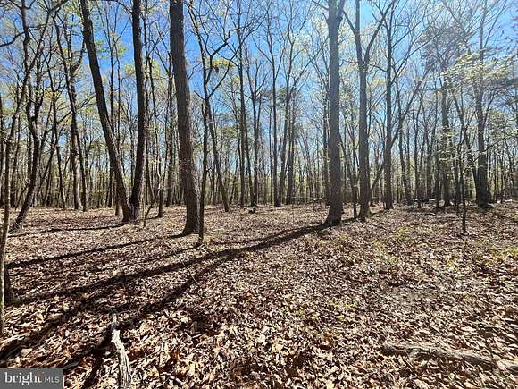 2.3 Acres of Residential Land for Sale in Midland, Virginia