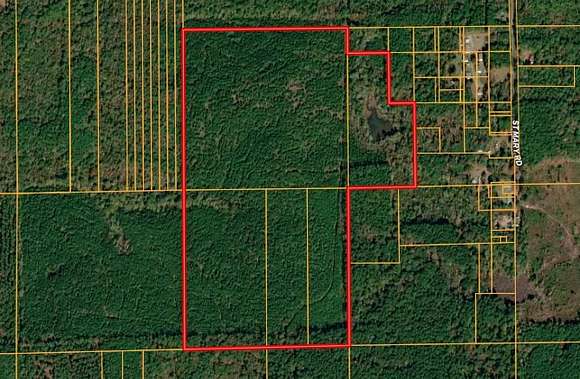 92 Acres of Recreational Land for Auction in Plain Dealing, Louisiana