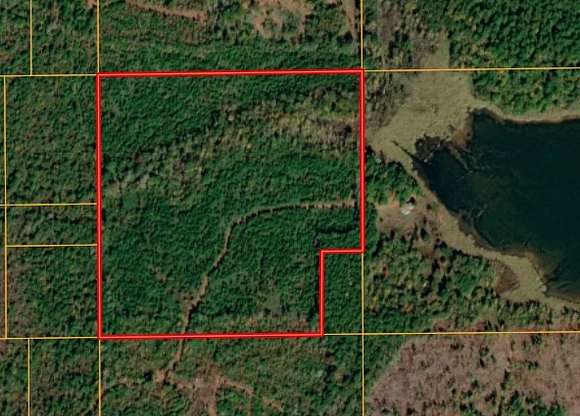 38 Acres of Recreational Land for Auction in Plain Dealing, Louisiana