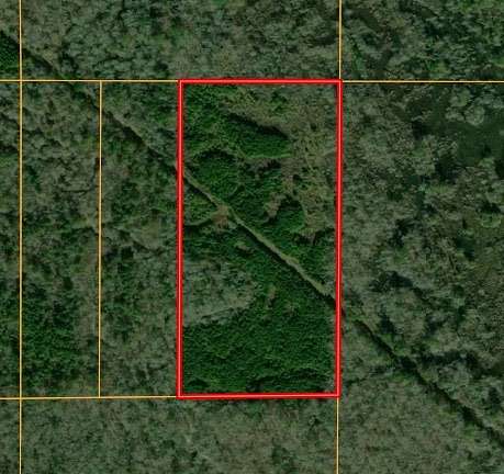 20 Acres of Recreational Land for Auction in Plain Dealing, Louisiana