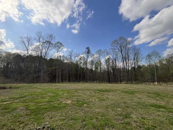 Residential Land for Sale in Cumberland City, Alabama