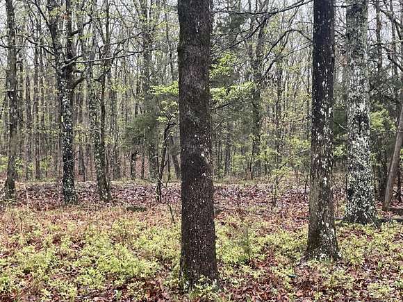 Residential Land for Sale in Nunnelly, Tennessee