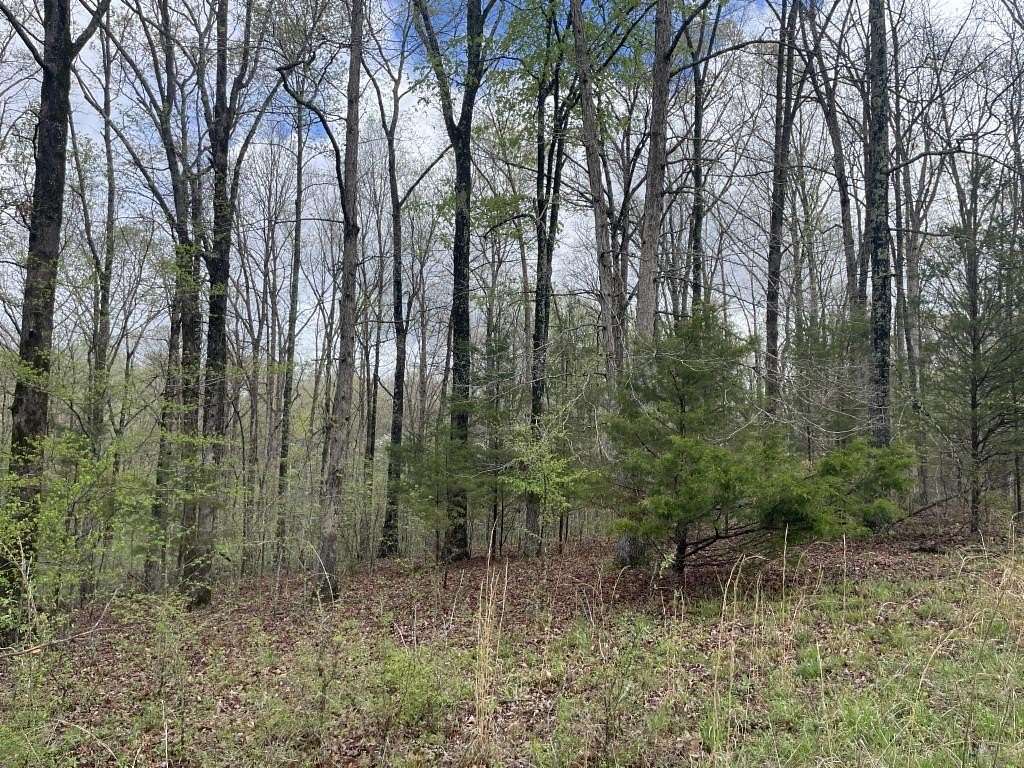 Land for Sale in Nunnelly, Tennessee