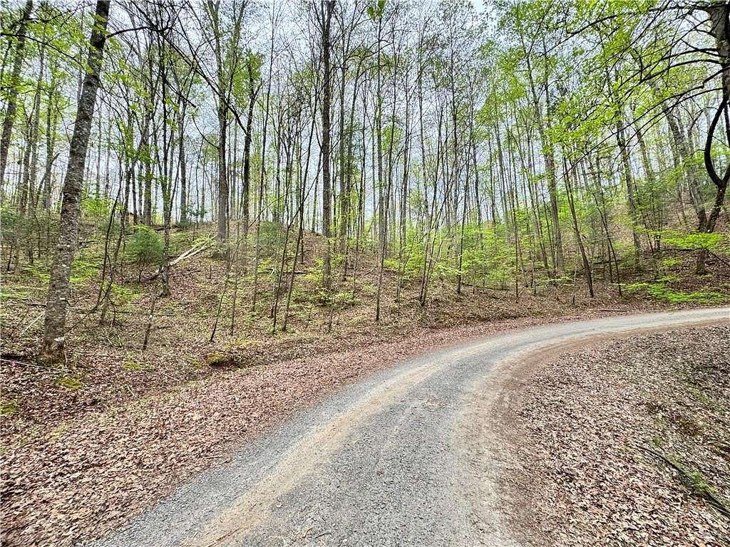 0.78 Acres of Residential Land for Sale in Ellijay, Georgia
