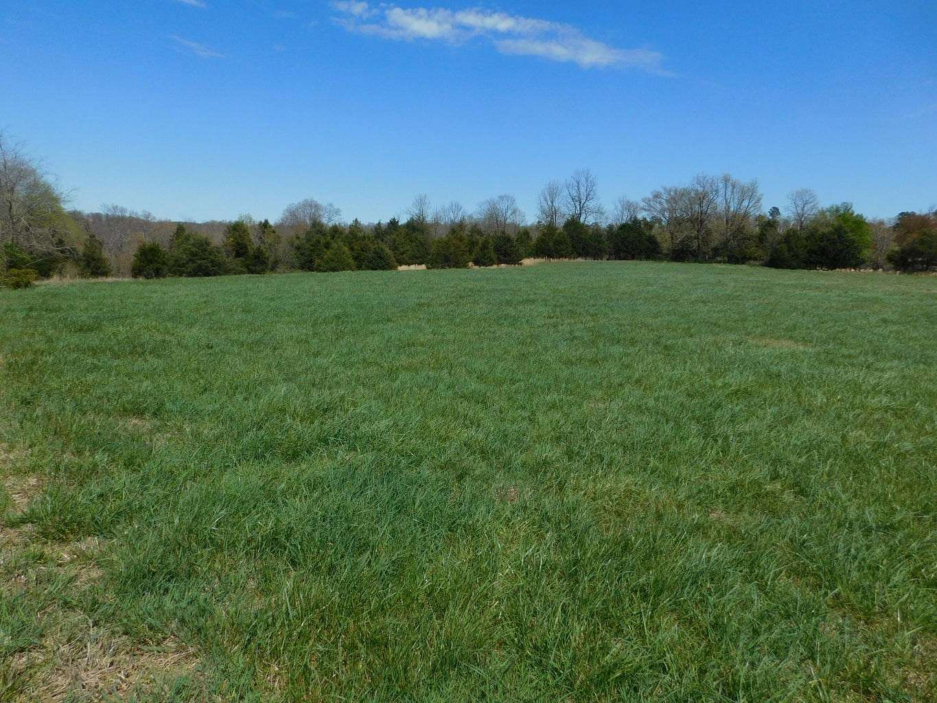 103 Acres of Land with Home for Sale in Deer, Arkansas