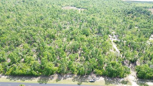 5 Acres of Land for Sale in Mayo, Florida
