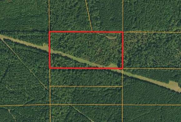20 Acres of Recreational Land for Auction in Plain Dealing, Louisiana