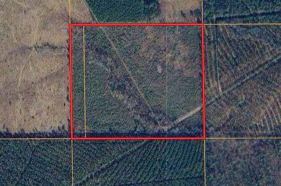40 Acres of Recreational Land for Auction in Plain Dealing, Louisiana