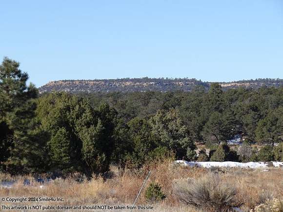 6.1 Acres of Land for Sale in Pinehill, New Mexico