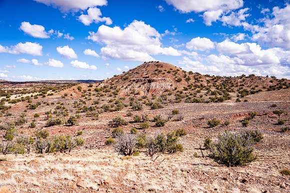 37.8 Acres of Recreational Land for Sale in Concho, Arizona